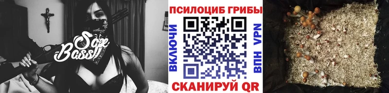где найти наркотики  Каменск-Шахтинский  Псилоцибиновые грибы мухоморы 